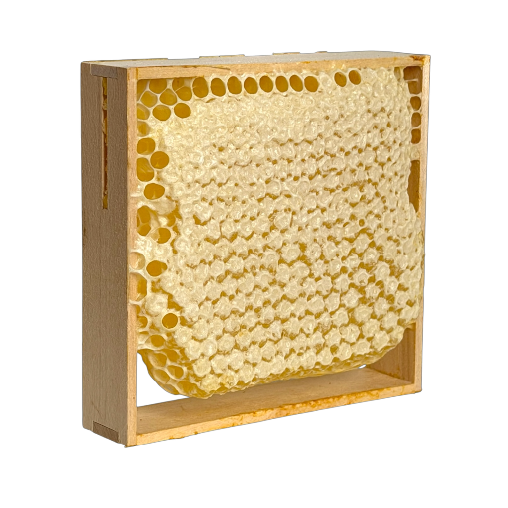 MIÓD sekcyjny Plaster MIODU - obrazek 3